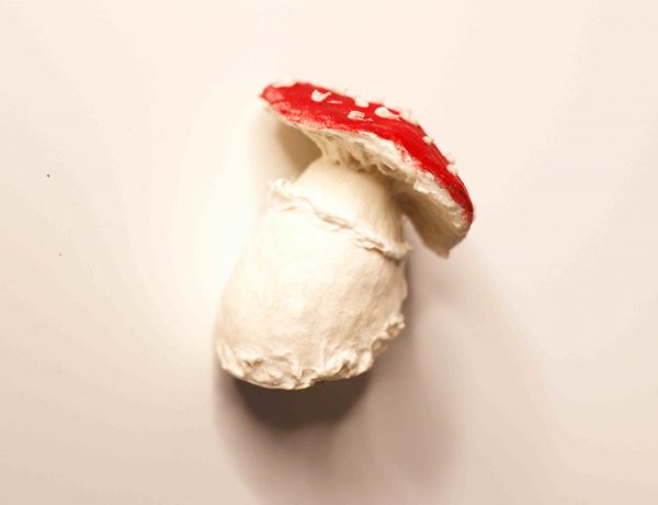 Magnetischer Pilz aus Pappmaché – Bild 2