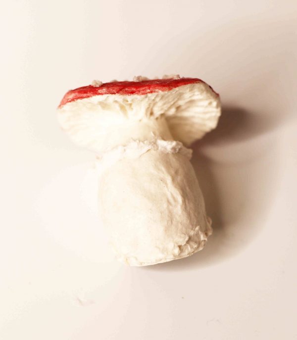 Magnetischer Pilz aus Pappmaché – Bild 4