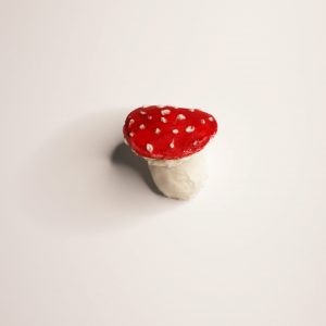 Magnetischer Pilz aus Pappmaché